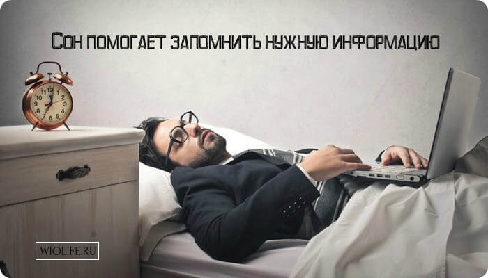Сон помогает запомнить нужную информацию Сон помогает запомнить нужную информацию