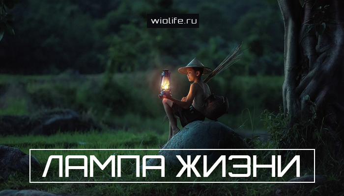 Лампа жизни Лампа жизни