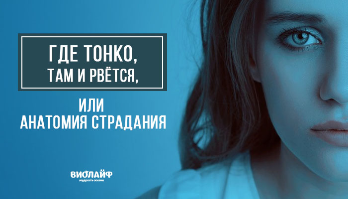 Где тонко, там и рвётся, или анатомия страдания Где тонко, там и рвётся, или анатомия страдания