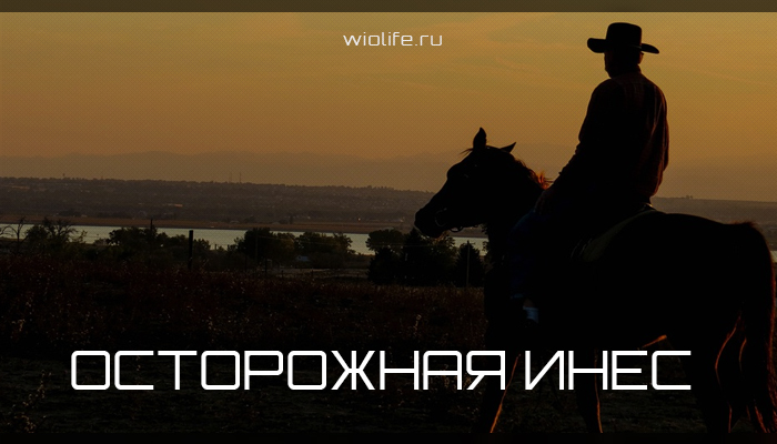 Вдохновляющая притча об осторожной Инес Вдохновляющая притча об осторожной Инес