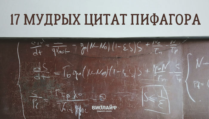 17 мудрых цитат Пифагора 17 мудрых цитат Пифагора