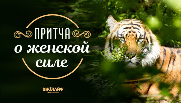 Притча о женской силе Притча о женской силе